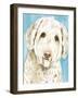 Labradoodle I-Grace Popp-Framed Art Print