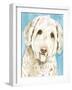 Labradoodle I-Grace Popp-Framed Art Print