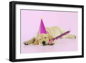 Labrador (8 Week Old Pup) with Party Hat-null-Framed Photographic Print