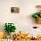 Labrador (8 Week Old Pup) with Pumpkins and Broom-null-Photographic Print displayed on a wall