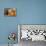 Labrador (8 Week Old Pup) with Pumpkins and Broom-null-Photographic Print displayed on a wall