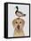 Labrador and Duck-Fab Funky-Framed Stretched Canvas