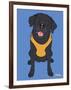 Labrador Black-Tomoyo Pitcher-Framed Giclee Print