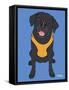 Labrador Black-Tomoyo Pitcher-Framed Stretched Canvas