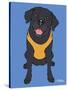 Labrador Black-Tomoyo Pitcher-Stretched Canvas