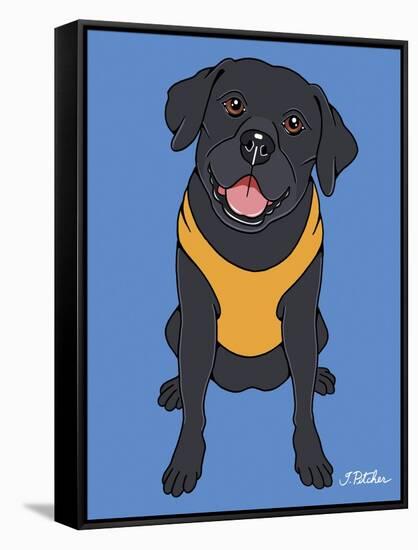 Labrador Black-Tomoyo Pitcher-Framed Stretched Canvas