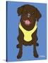 Labrador Chocolate-Tomoyo Pitcher-Stretched Canvas