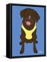 Labrador Chocolate-Tomoyo Pitcher-Framed Stretched Canvas