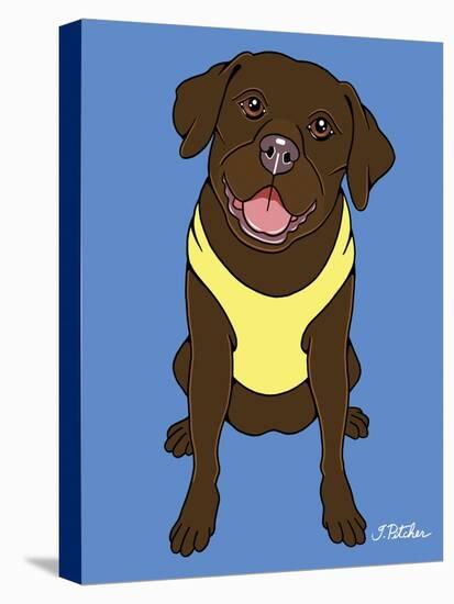 Labrador Chocolate-Tomoyo Pitcher-Stretched Canvas