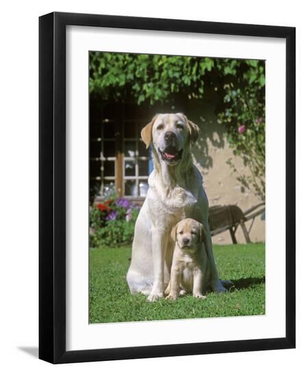 Premium Photographic Print, , large