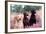 Labrador Dogs Yellow, Chocolate and Black Labradors-null-Framed Photographic Print