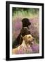 Labrador Dogs, Yellow Chocolate and Black-null-Framed Photographic Print