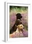 Labrador Dogs, Yellow Chocolate and Black-null-Framed Photographic Print