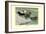 Labrador Duck-Louis Agassiz Fuertes-Framed Art Print