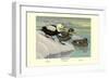 Labrador Duck-Louis Agassiz Fuertes-Framed Art Print