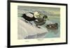 Labrador Duck-Louis Agassiz Fuertes-Framed Art Print