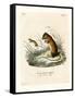 Labrador Jumping Mouse-null-Framed Stretched Canvas