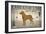 Labrador Lake Yellow Lab-Ryan Fowler-Framed Art Print