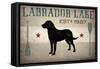 Labrador Lake-Ryan Fowler-Framed Stretched Canvas