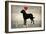 Labrador Love I-Ryan Fowler-Framed Art Print