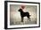 Labrador Love I-Ryan Fowler-Framed Art Print