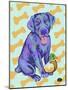 Labrador Pop-Natasha Wescoat-Mounted Giclee Print