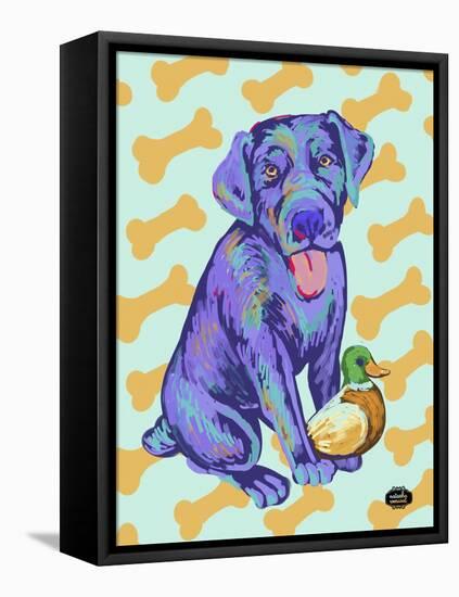 Labrador Pop-Natasha Wescoat-Framed Stretched Canvas