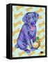 Labrador Pop-Natasha Wescoat-Framed Stretched Canvas