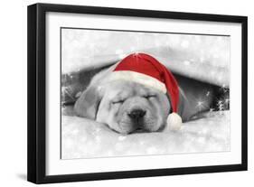 Labrador Puppy Lying under a Blanket Wearing a Christmas Hat-null-Framed Photographic Print