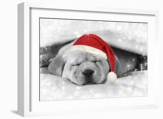 Labrador Puppy Lying under a Blanket Wearing a Christmas Hat-null-Framed Photographic Print