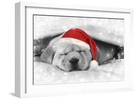 Labrador Puppy Lying under a Blanket Wearing a Christmas Hat-null-Framed Photographic Print