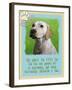 Labrador Retriever 1-Cathy Cute-Framed Giclee Print