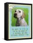 Labrador Retriever 1-Cathy Cute-Framed Stretched Canvas