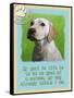 Labrador Retriever 1-Cathy Cute-Framed Stretched Canvas