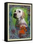 Labrador Retriever 2-Cathy Cute-Framed Stretched Canvas