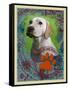 Labrador Retriever 2-Cathy Cute-Framed Stretched Canvas