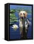 Labrador Retriever Dog in Lake, Illinois, USA-Lynn M. Stone-Framed Stretched Canvas