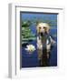 Labrador Retriever Dog in Lake, Illinois, USA-Lynn M. Stone-Framed Premium Photographic Print