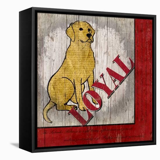 Labrador Retriever II-Karen Williams-Framed Stretched Canvas