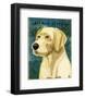 Labrador Retriever (NEW)-John W^ Golden-Framed Art Print