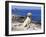 Labrador Retriever on Coast, Maine, USA-Lynn M. Stone-Framed Photographic Print