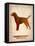 Labrador Retriever Poster-NaxArt-Framed Stretched Canvas