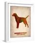 Labrador Retriever Poster-NaxArt-Framed Art Print