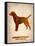 Labrador Retriever Poster-NaxArt-Framed Stretched Canvas