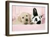 Labrador Retriever Puppy and English Rabbit-null-Framed Photographic Print