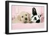 Labrador Retriever Puppy and English Rabbit-null-Framed Photographic Print