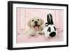 Labrador Retriever Puppy and English Rabbit-null-Framed Photographic Print