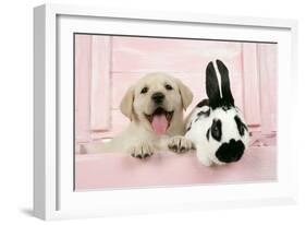 Labrador Retriever Puppy and English Rabbit-null-Framed Photographic Print