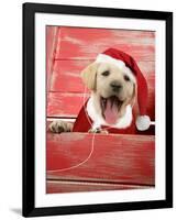 Labrador Retriever Puppy in a Wooden Box-null-Framed Photographic Print