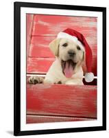 Labrador Retriever Puppy in a Wooden Box-null-Framed Photographic Print